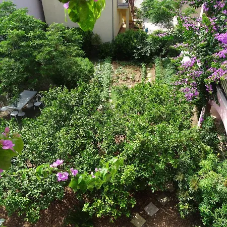 Roza * マカルスカ